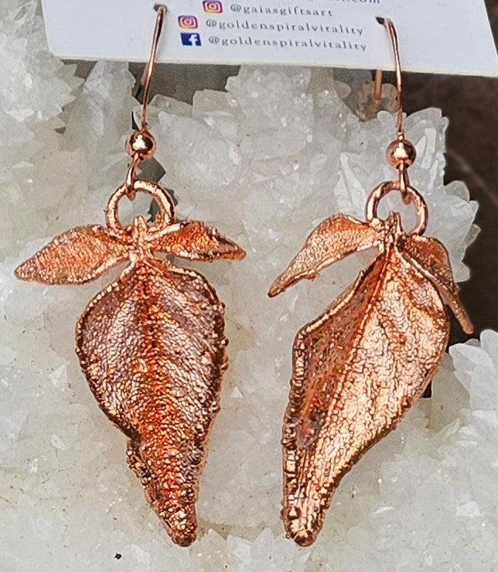 Handmade Bittersweet Nightshade Earrings Captured in Copper – A Talisman for Transformation, Protection, and Duality