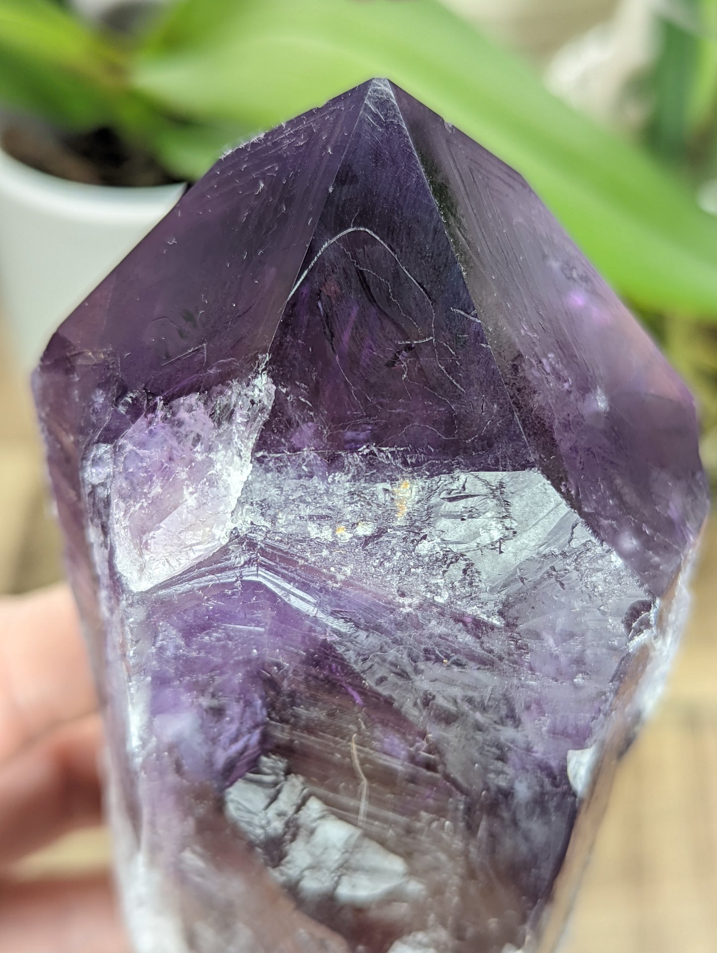 Amethyst Bahia Elestial Point