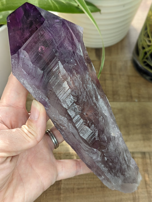 Amethyst Bahia Elestial Point